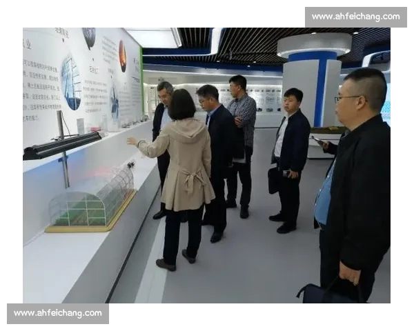 体育训练创新模式与科学提升路径探索研究面向未来竞技能力发展